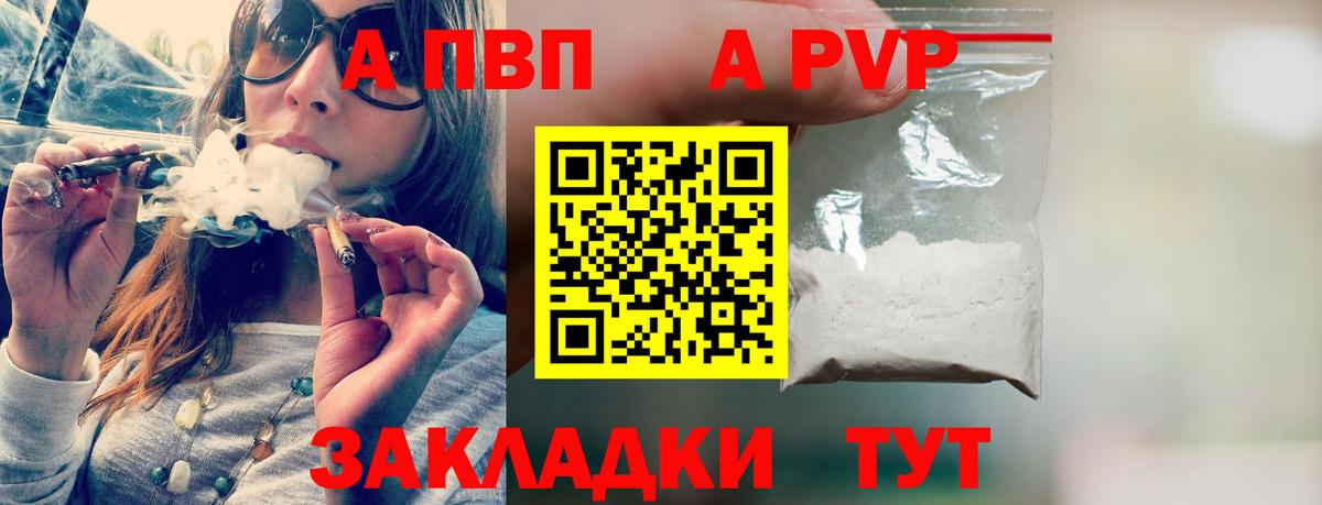 Альфа ПВП СК Камень-на-Оби