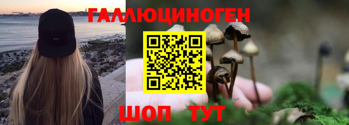 Галлюциногенные грибы ЛСД Камень-на-Оби